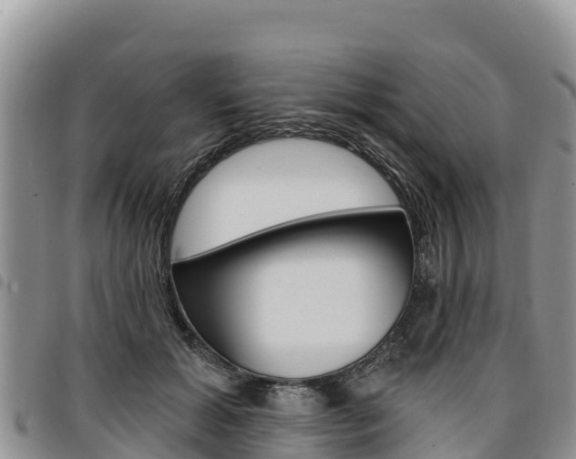 X0000097290605200802151100