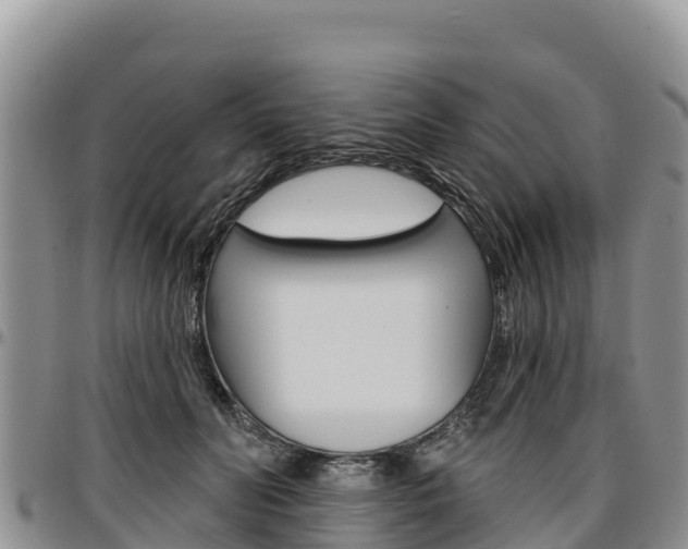 X0000097290606200802151100