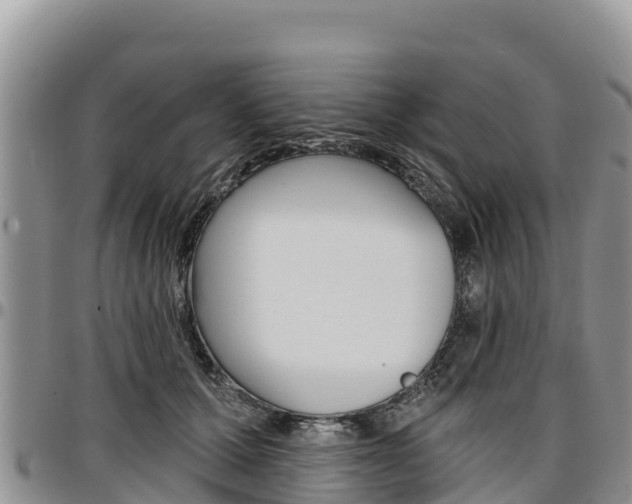 X0000097290607200802151100