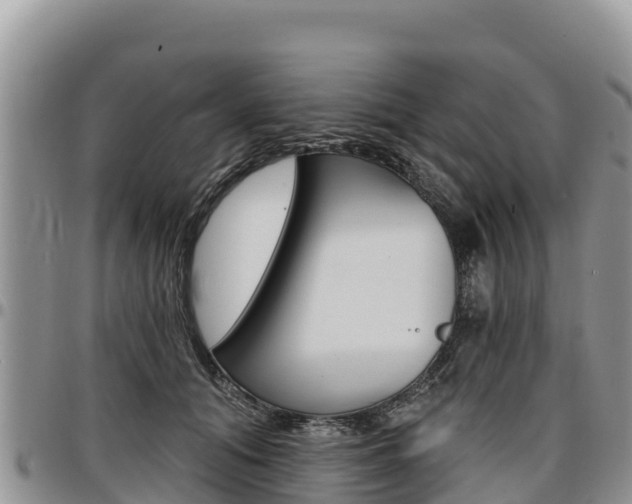 X0000097290608200802151100