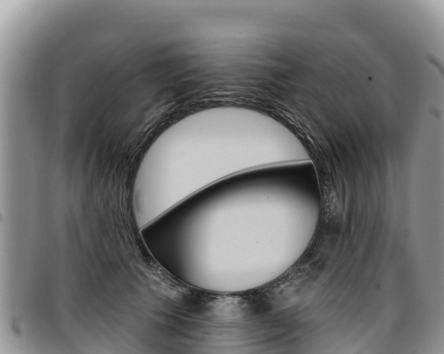 X0000097290609200802151100
