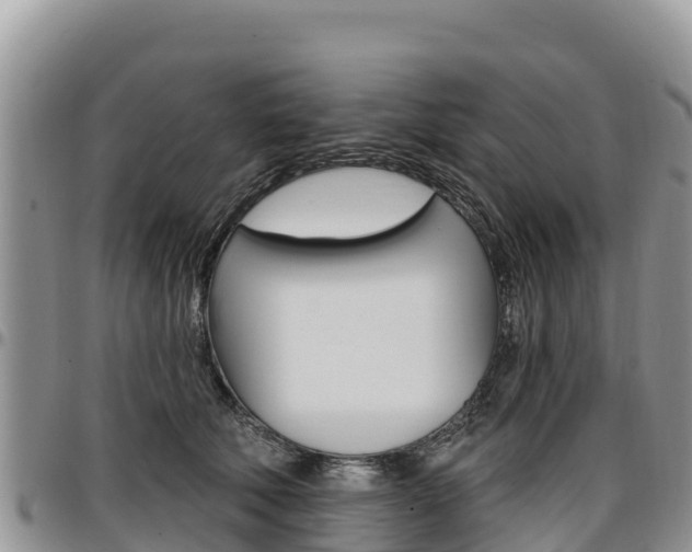 X0000097290610200802151100