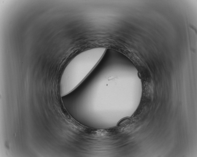 X0000097290612200802151100