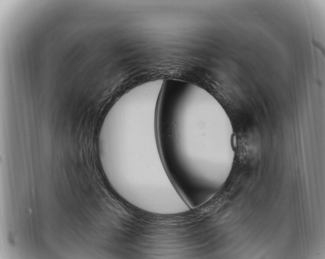 X0000097290613200802151100
