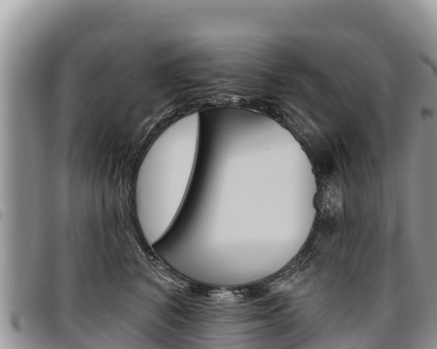 X0000097290616200802151100