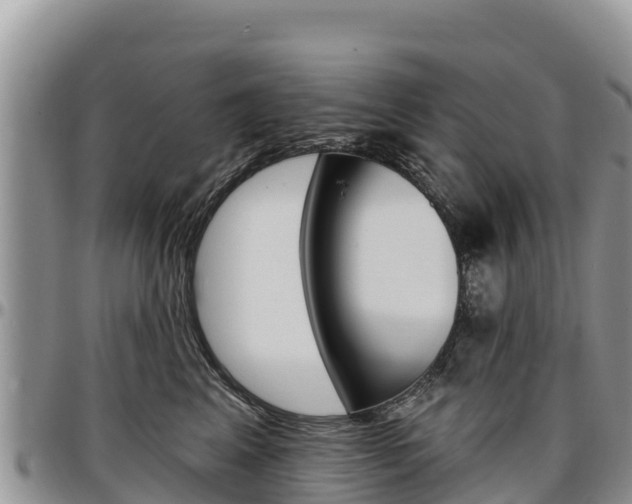 X0000097290617200802151100
