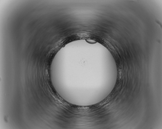 X0000097290618200802151100
