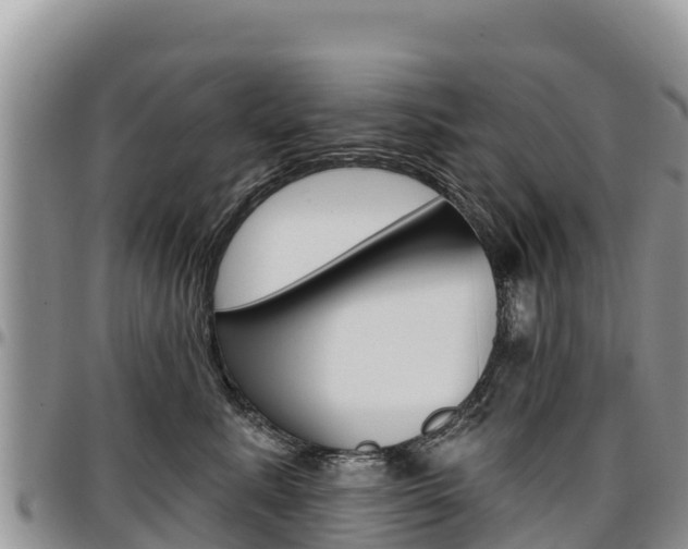 X0000097290619200802151100