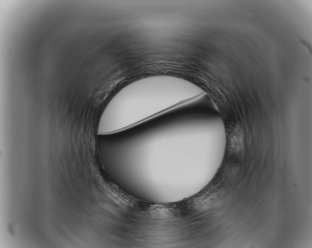 X0000097290620200802151100