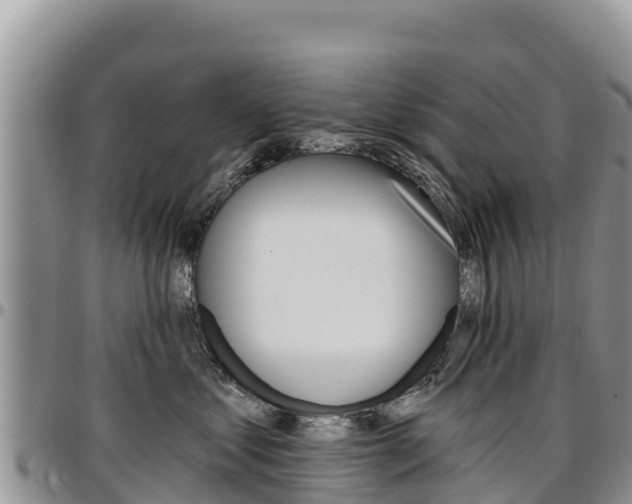 X0000097290621200802151100
