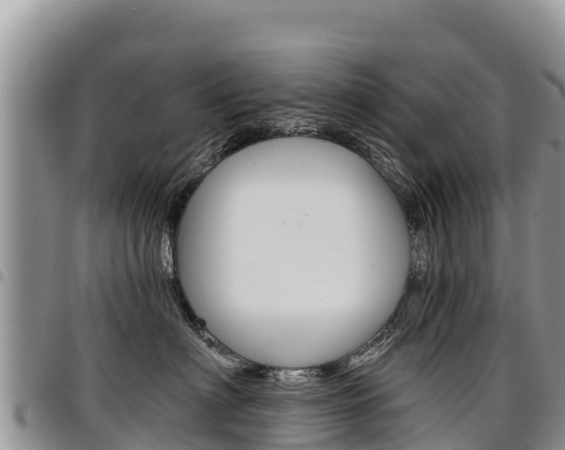 X0000097290622200802151100