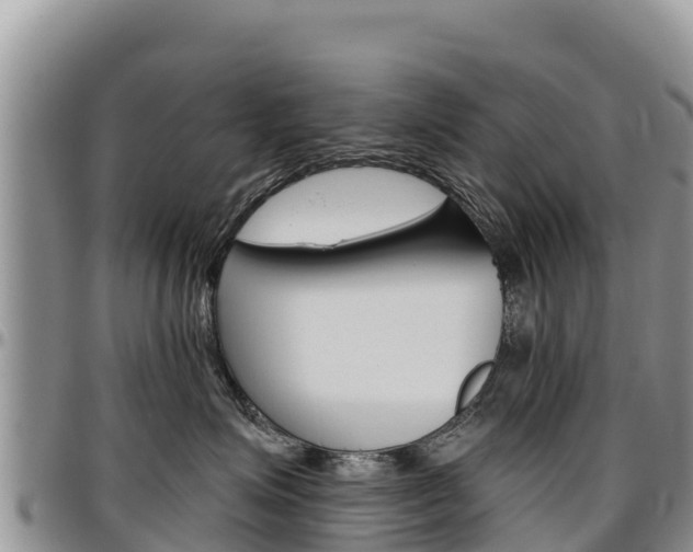 X0000097290623200802151100