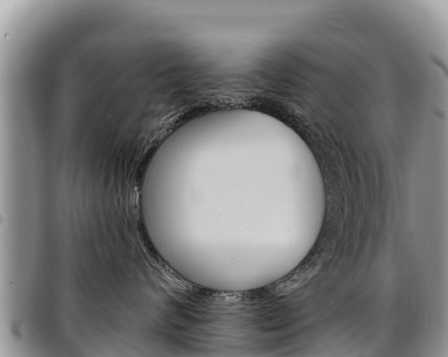 X0000097290624200802151100