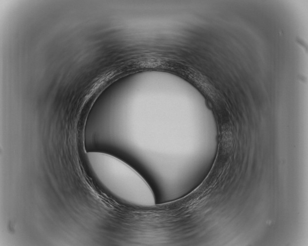 X0000097290626200802151059
