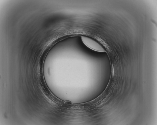 X0000097290627200802151059