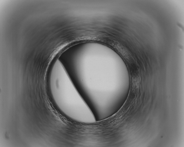 X0000097290628200802151059