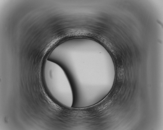 X0000097290629200802151059