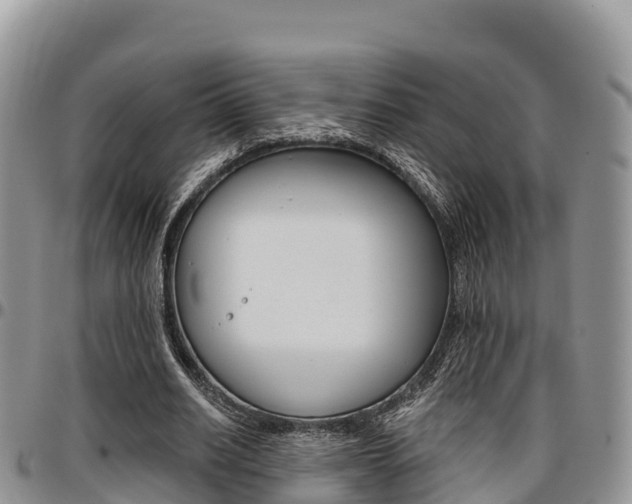 X0000097290630200802151059