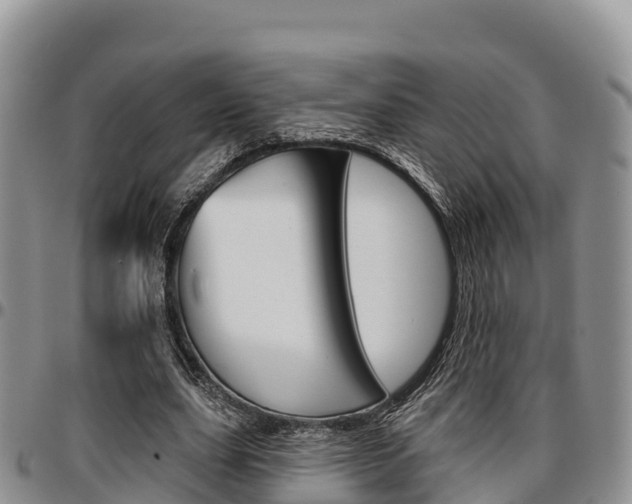 X0000097290631200802151059