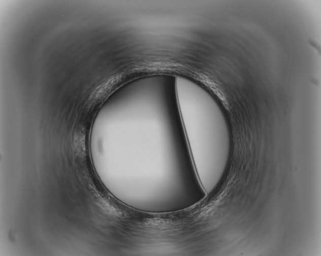 X0000097290633200802151059