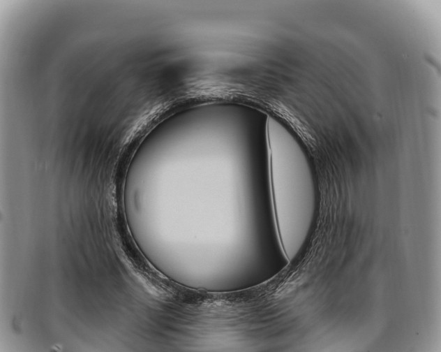 X0000097290634200802151059