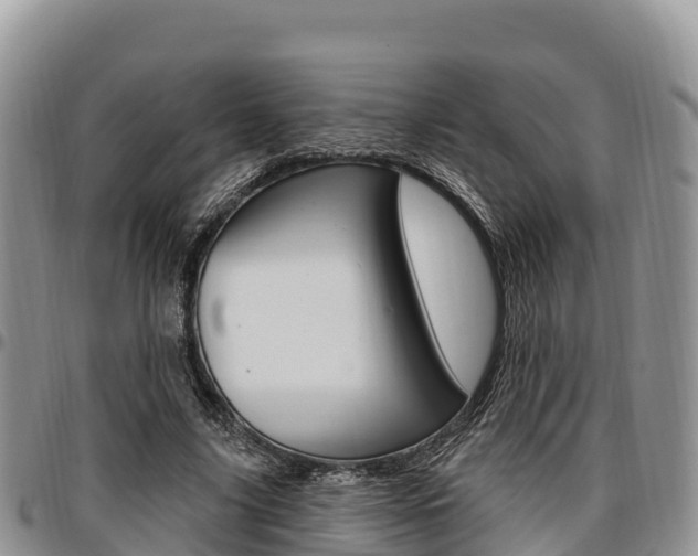 X0000097290635200802151059