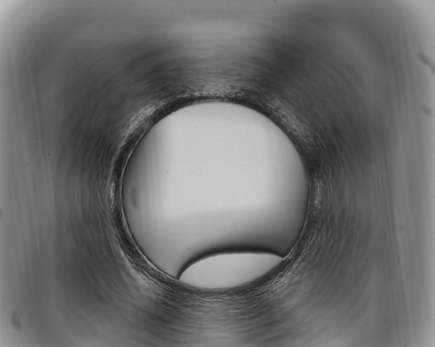 X0000097290636200802151059