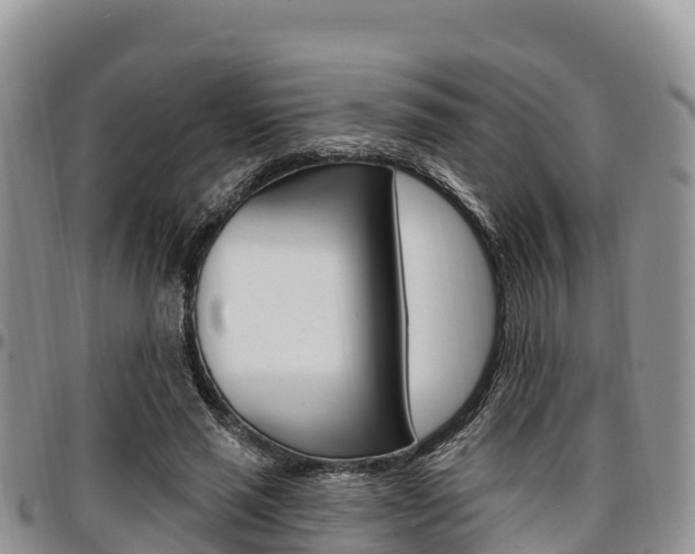 X0000097290637200802151059