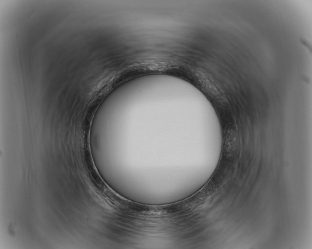 X0000097290639200802151059