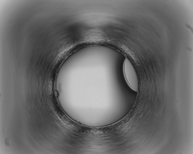 X0000097290640200802151059