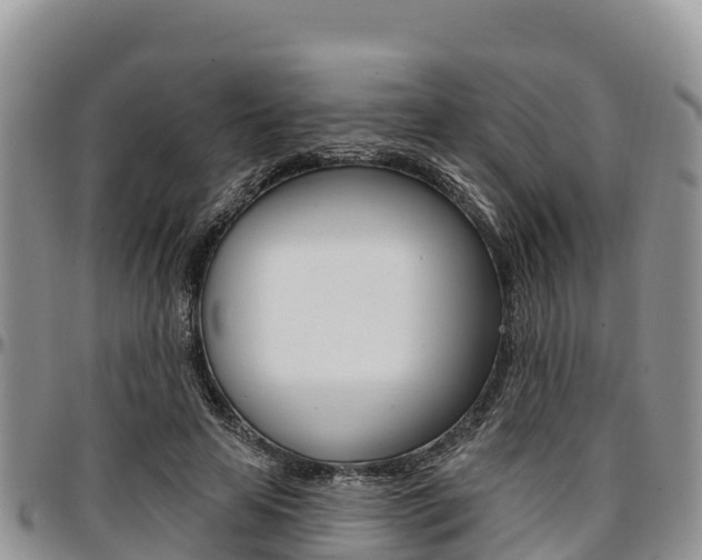 X0000097290641200802151059