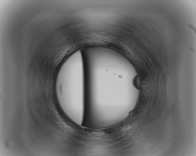 X0000097290642200802151059
