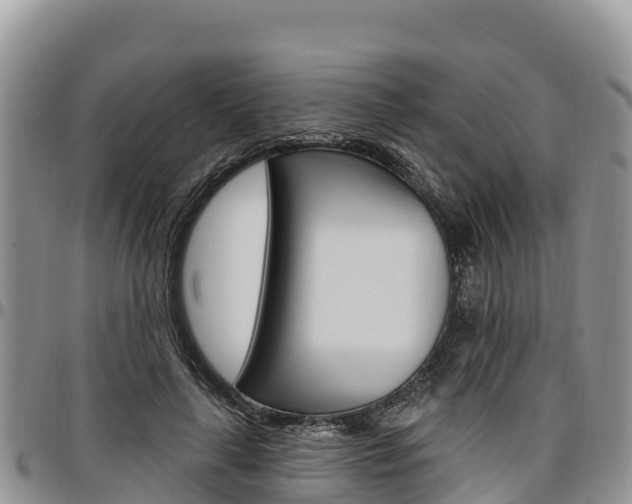 X0000097290643200802151059