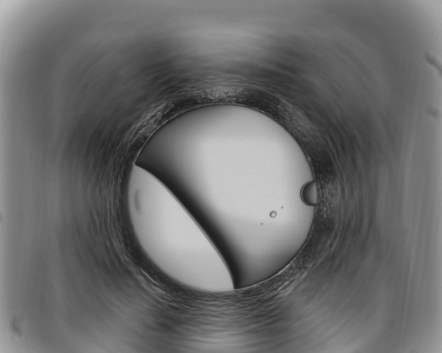X0000097290644200802151059