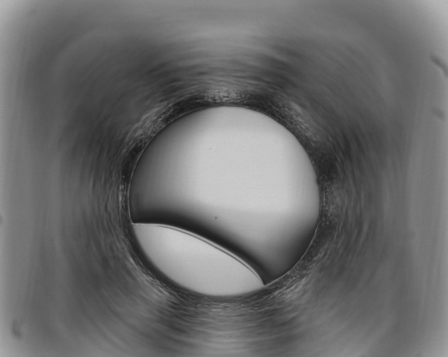 X0000097290645200802151059