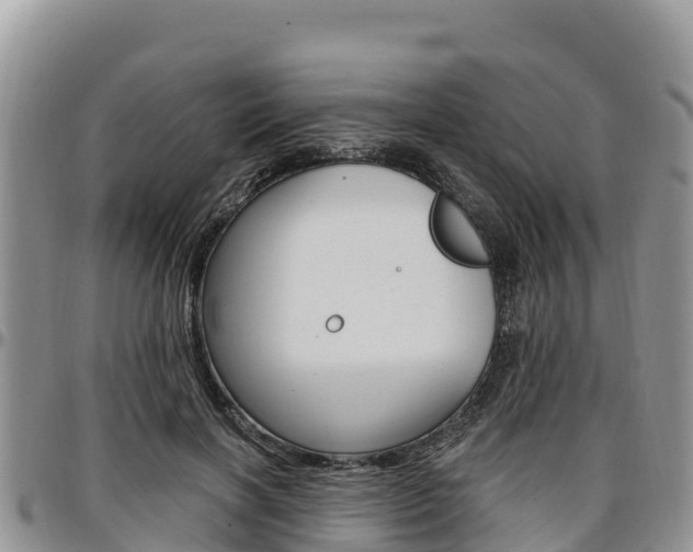 X0000097290646200802151059