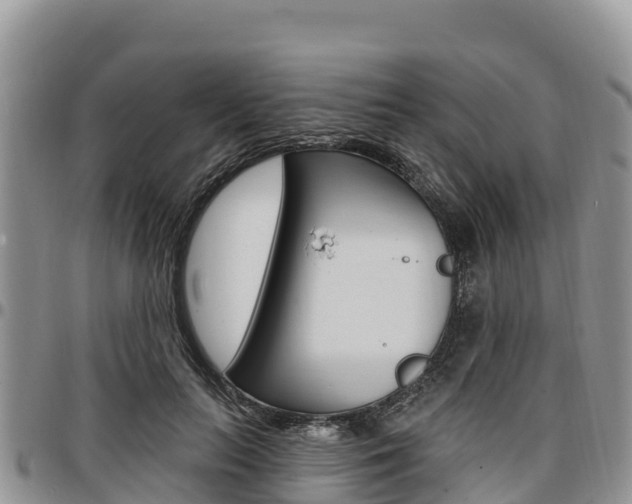 X0000097290647200802151059