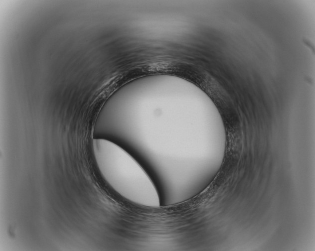 X0000097290648200802151059