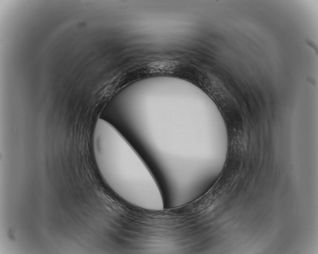X0000097290649200802151059