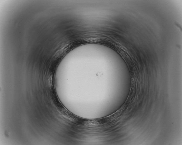 X0000097290652200802151059