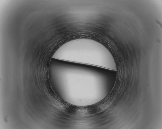 X0000097290653200802151059
