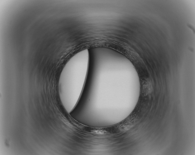 X0000097290654200802151059
