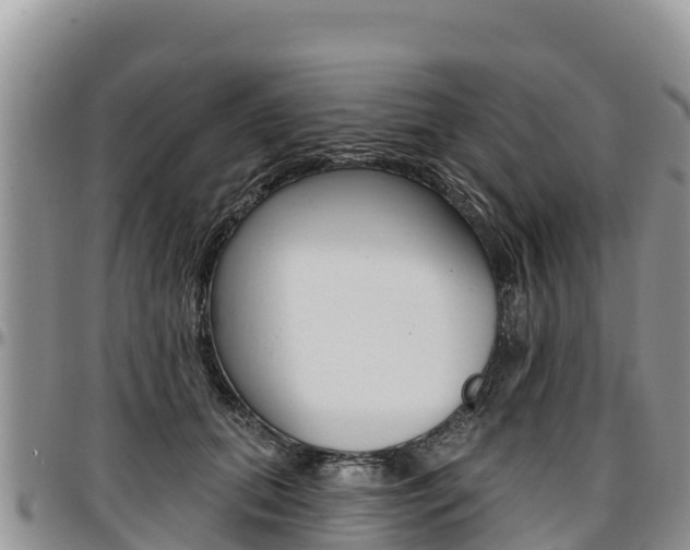 X0000097290655200802151059