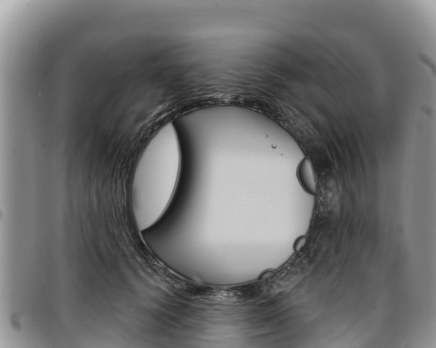 X0000097290656200802151059