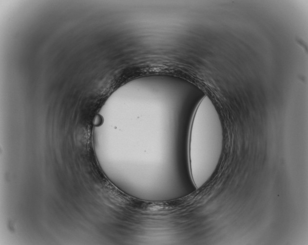 X0000097290657200802151059