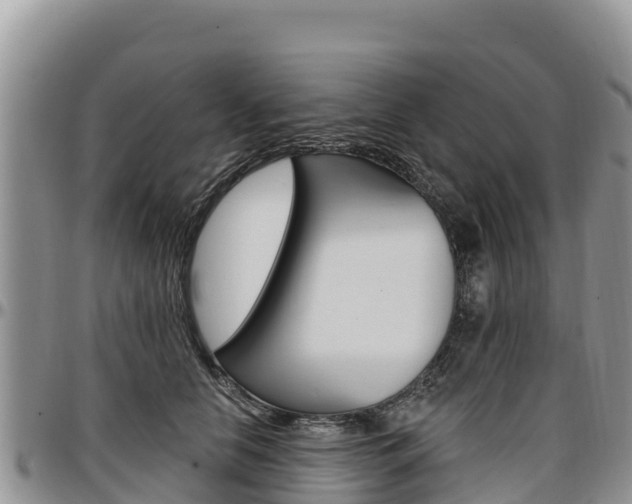X0000097290658200802151059