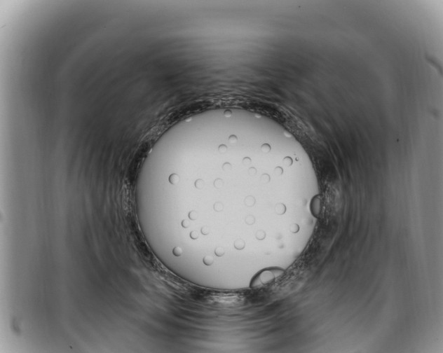 X0000097290659200802151100