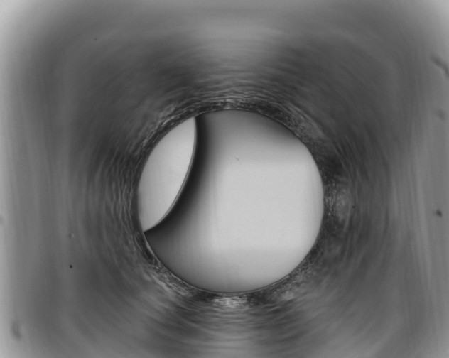 X0000097290660200802151100