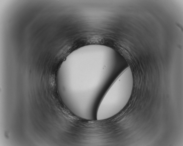 X0000097290665200802151100