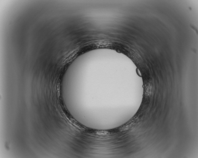 X0000097290666200802151100